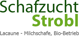 Logo Schafzucht Strobl